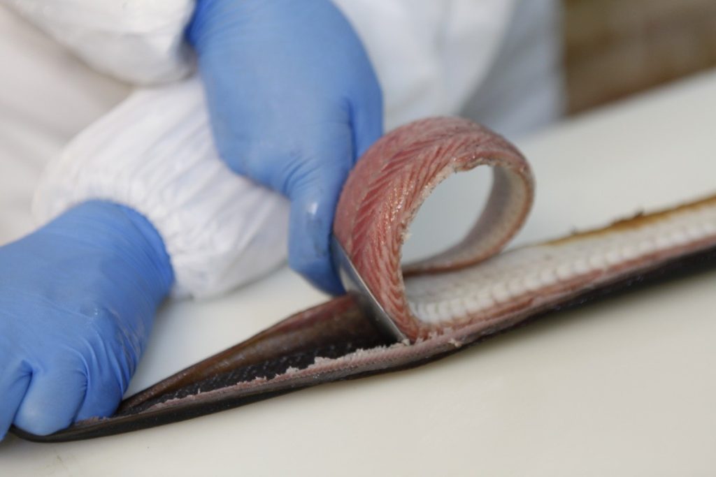 Ο ΕΦΕΤ ανακαλεί από την αγορά καπνιστό χέλι – Δείτε ποιο αφορά (φώτο)