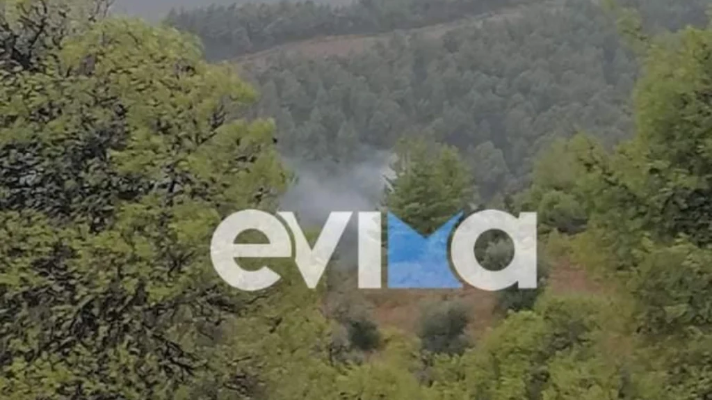 Χαλκίδα: Ξέσπασε φωτιά από κεραυνό στο χωριό Φύλλα