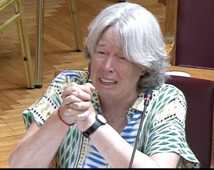 Αθηνά Λινού: Οι ακατανόητοι λυγμοί και η υπερευαίσθητη  αντίδραση στον Π.Πολάκη