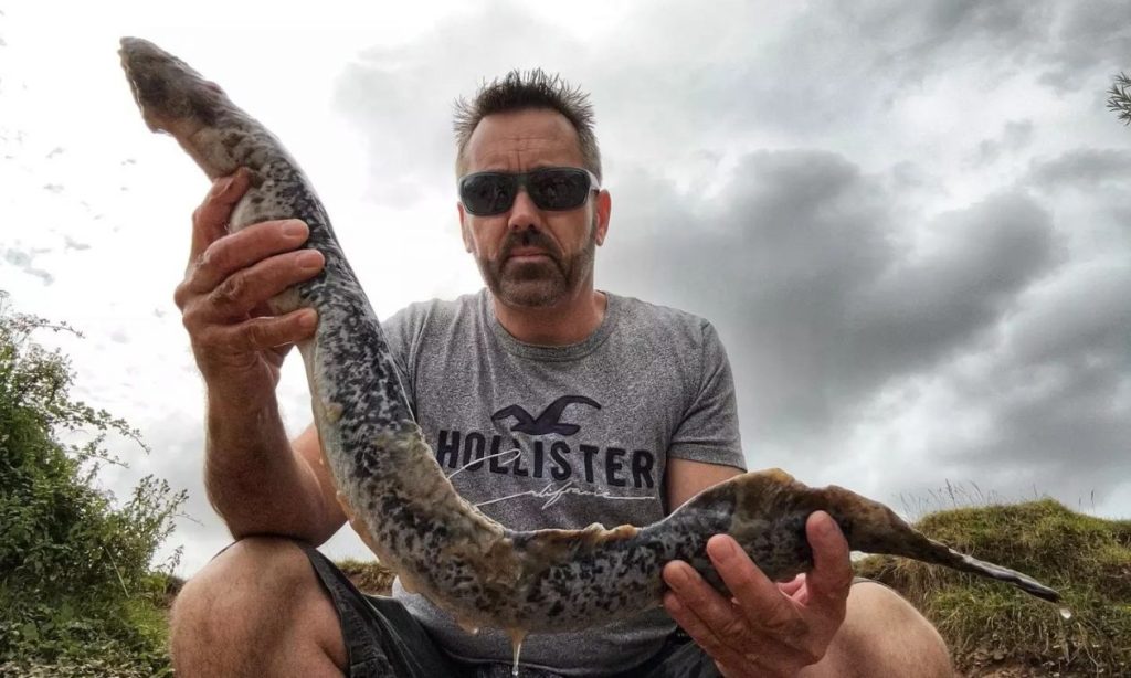 Ποταμός Exe στο Devon: Άνδρας βρήκε ψάρι βαμπίρ ενός μέτρου