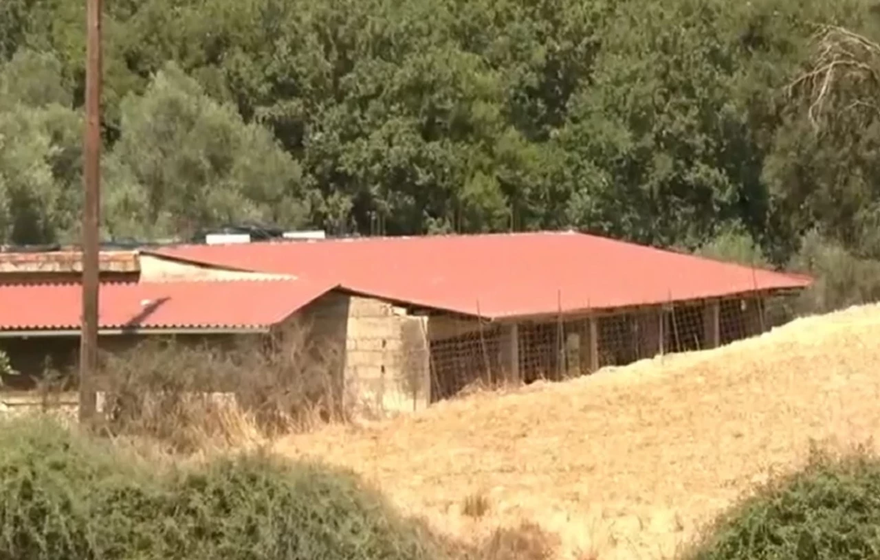 Κρήτη: Ανατροπή στην απόπειρα δολοφονίας του κτηνοτρόφου – «Κλειδί» το κόψιμο της γλώσσας του (βίντεο)