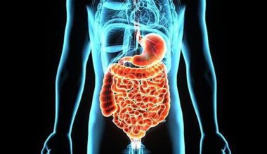 Απόφραξη εντέρου: Δείτε ποια είναι τα συμπτώματα και οι αιτίες – Τι να κάνετε στο σπίτι για να χαλαρώσετε