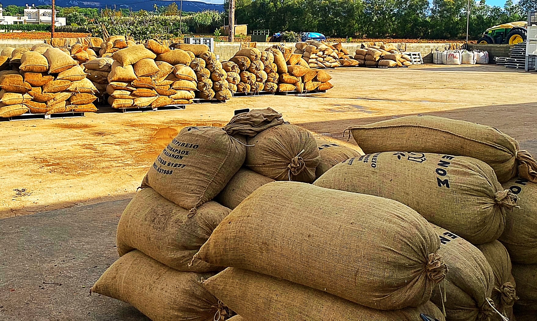 Βίντεο καταγράφει την είσοδο κουκουλοφόρων σε ελαιοτριβείο της Μεσσηνίας – Έκλεψαν δεκάδες σακιά με ελιές