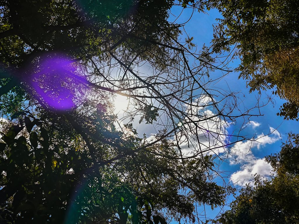 Ο καιρός σήμερα: Αίθριος με άνοδο της θερμοκρασίας – Η πρόγνωση της ΕΜΥ για όλη τη χώρα