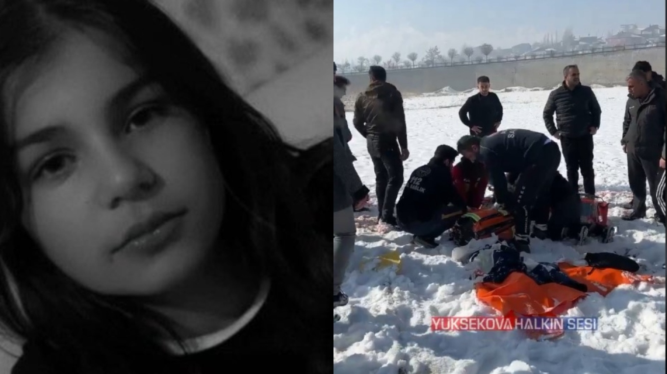 Τουρκία: Αδέσποτα σκυλιά επιτέθηκαν θανάσιμα σε 12χρονη ενώ πήγαινε να μελετήσει (βίντεο)