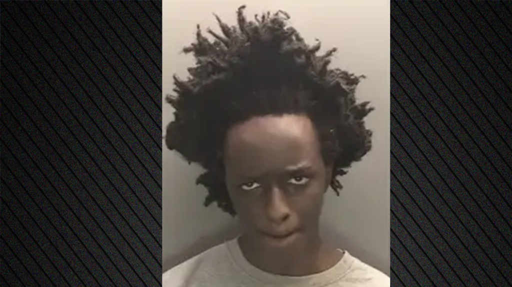 «Χαίρομαι που είναι νεκρές» δηλώνει ο σφαγέας των τριών κοριτσιών στο Σάουθπορτ