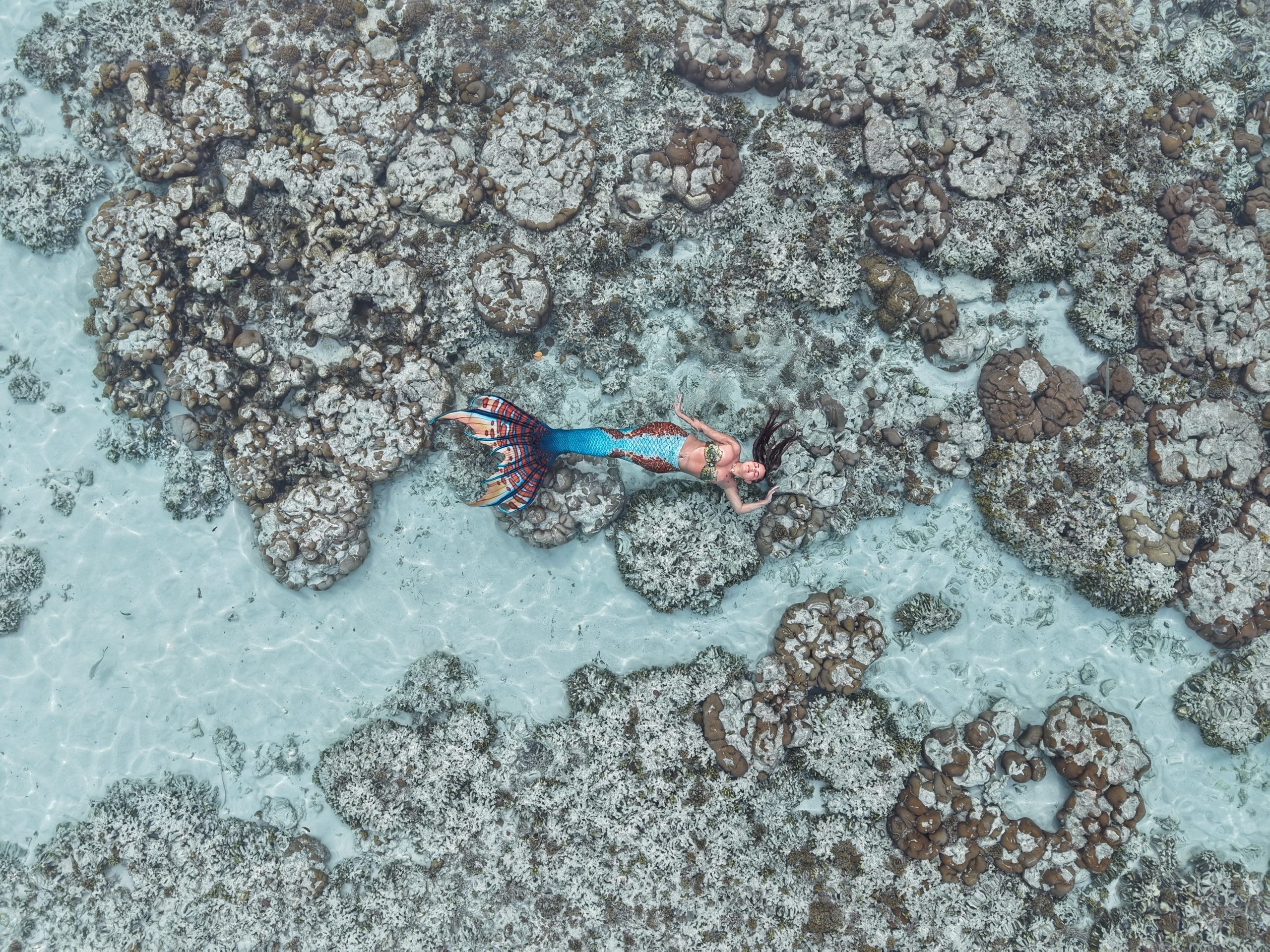 Χαρίκλεια Μαρή: Η νεαρή «γοργόνα» από τη Θεσσαλονίκη που κολυμπά δίπλα σε καρχαρίες στις Μαλδίβες