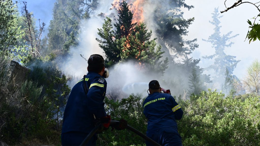 Ξέσπασε φωτιά στην Κρήτη – Στο σημείο έχουν σπεύσει πυροσβέστες με 4 οχήματα