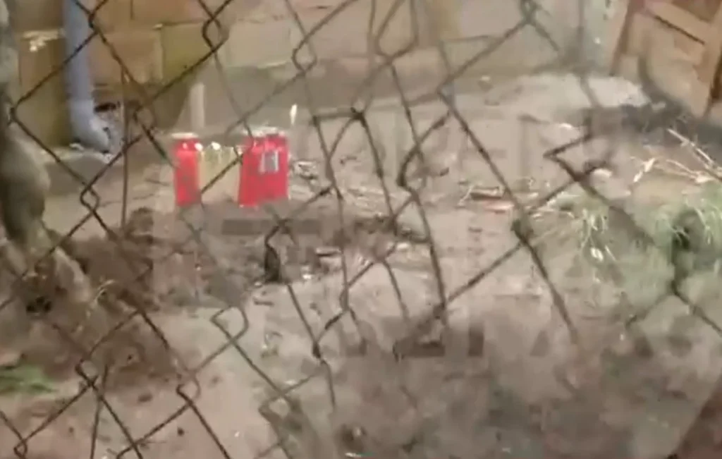 Πιερία: Σε αυτόν τον λάκκο έθαψε η 34χρονη τον άντρα της στο σπίτι τους – «Δεν τον έσυρε μόνη της»