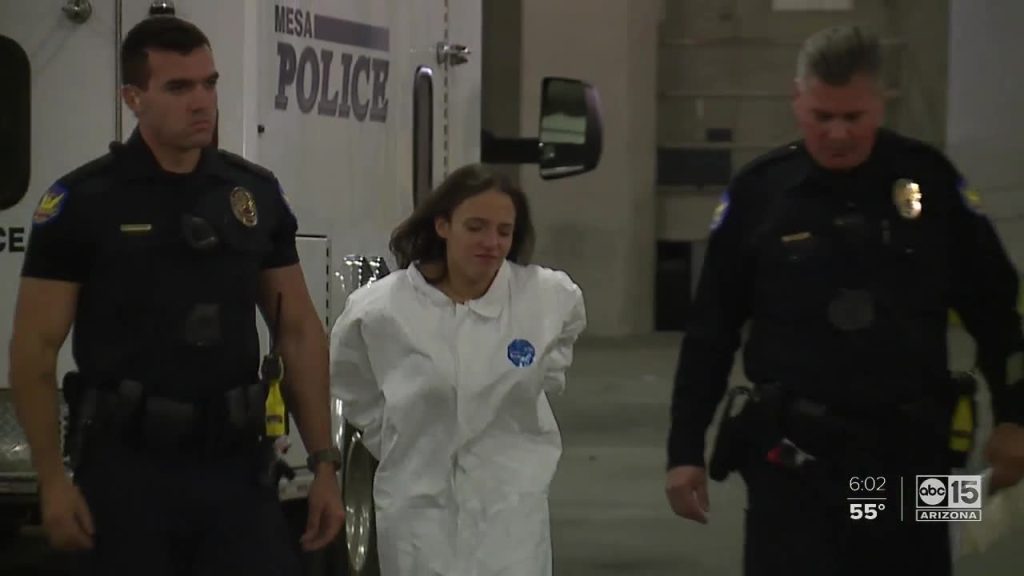 Φρίκη στη Νέα Υόρκη: Ισόβια στην 27χρονη μητέρα που στραγγάλισε τα τρία παιδιά της (βίντεο)