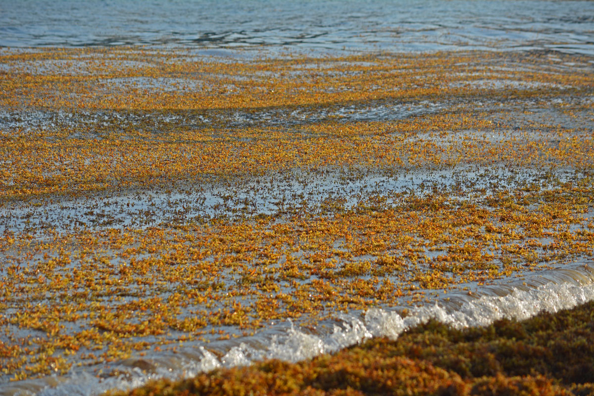 Κι όμως υπάρχει μία θάλασσα στη Γη που δεν έχει… στεριά: Πού βρίσκεται