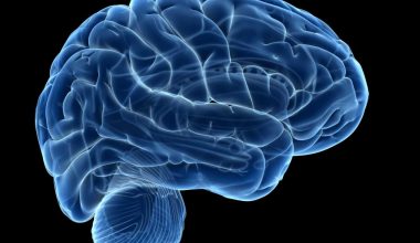 Το γνωρίζατε; – Σε αυτήν την ηλικία ο εγκέφαλος του ανθρώπου φτάνει στην κορύφωση