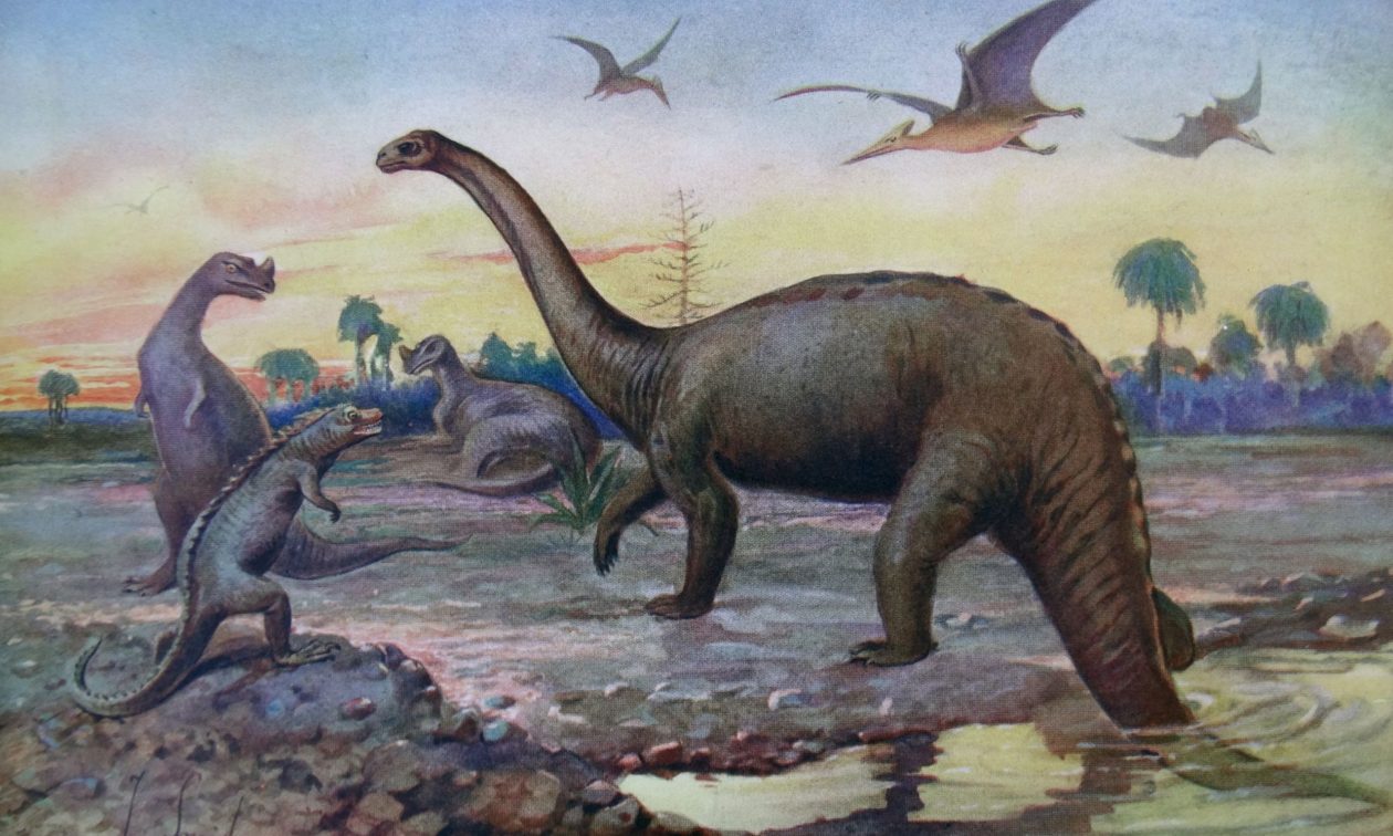 Ανατροπή: Τα προϊστορικά θηλαστικά ζούσαν ανάμεσα στους ανθρώπους μόλις πριν από… 3.500 χρόνια!