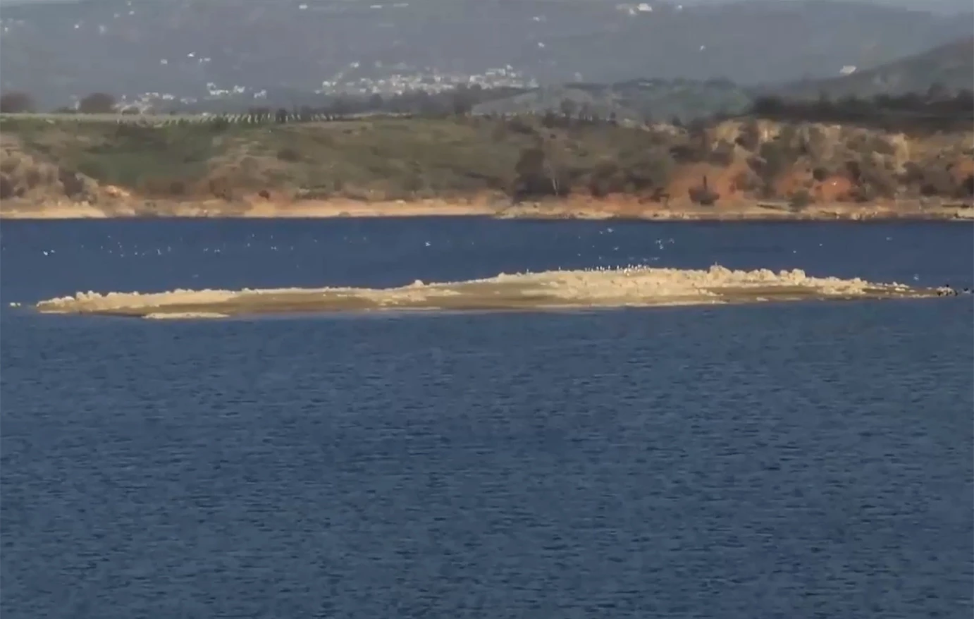 Λίμνη Μαραθώνα: Εμφανίστηκε βραχονησίδα λόγω λειψυδρίας – Μειώνονται τα αποθέματα νερού