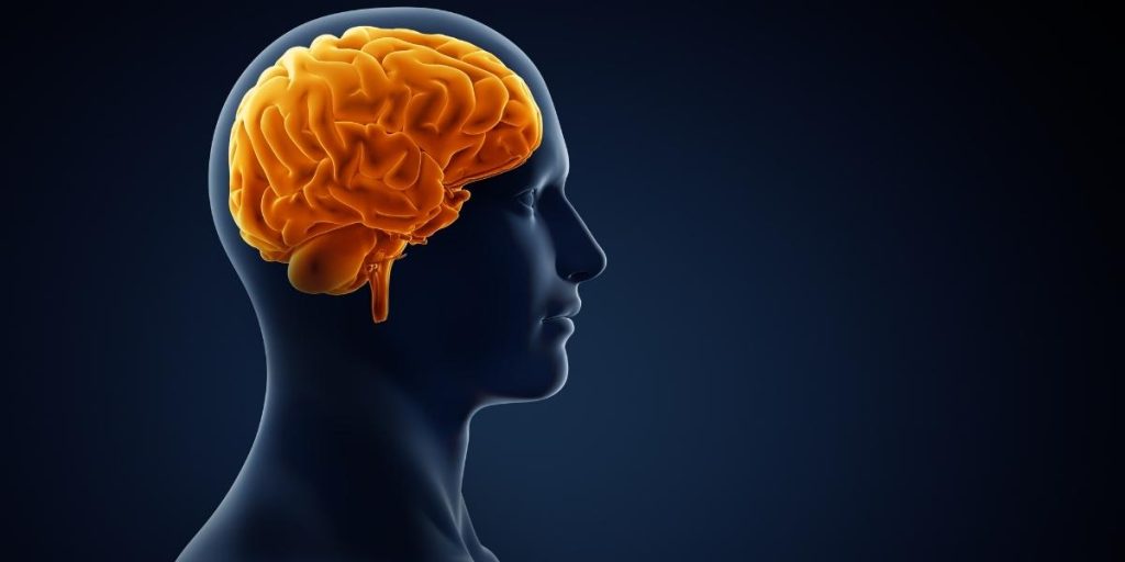 Αυτές είναι οι 7 χειρότερες τροφές για την υγεία του εγκεφάλου