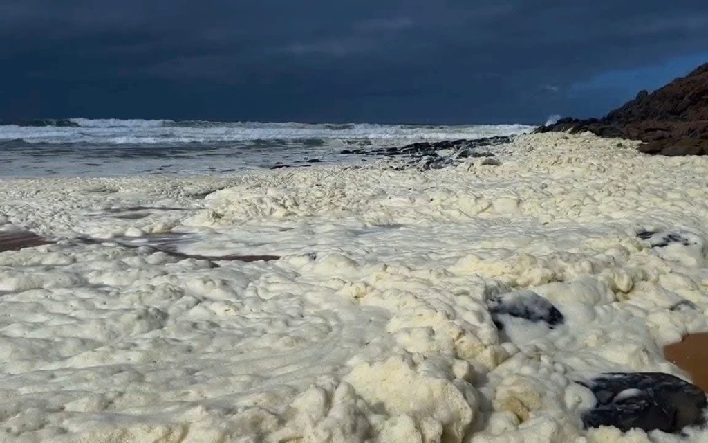 Αυστραλία: Κλείνουν παραλίες μετά την εμφάνιση μυστηριώδους αφρού και νεκρών ψαριών (φωτο)