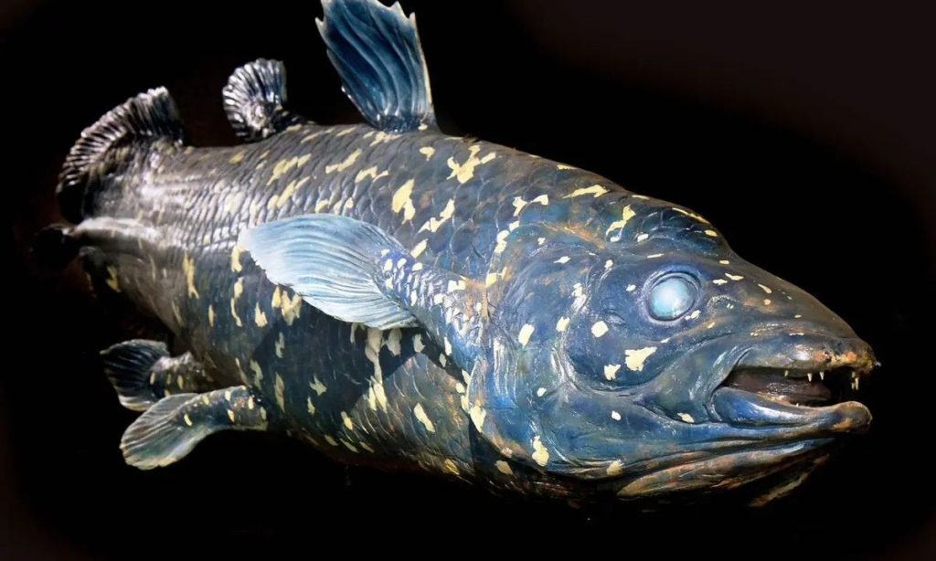 Εντοπίστηκε το αρχαιότερο ψάρι – Ήταν εξαφανισμένο για πάνω από 70 εκατ. χρόνια 