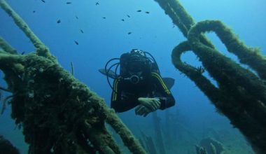 Minnewaska III: Το «καταραμένο» πλοίο στο βυθό της Σούδας