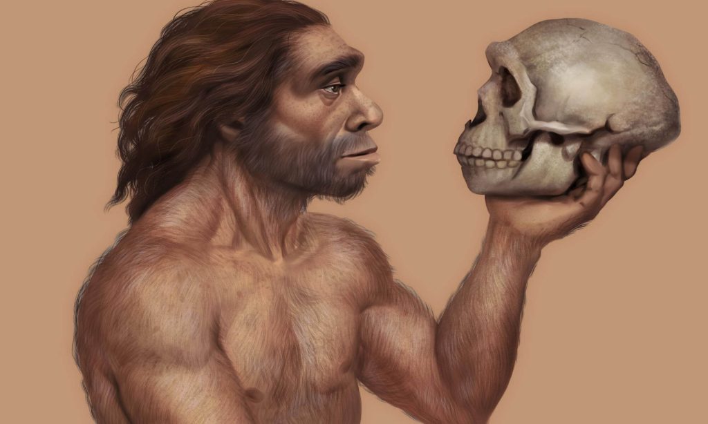 Σπουδαία ανακάλυψη: Τα νέα στοιχεία που δείχνουν ότι Νεάντερνταλ και Homo Sapiens συνεργάζονταν!