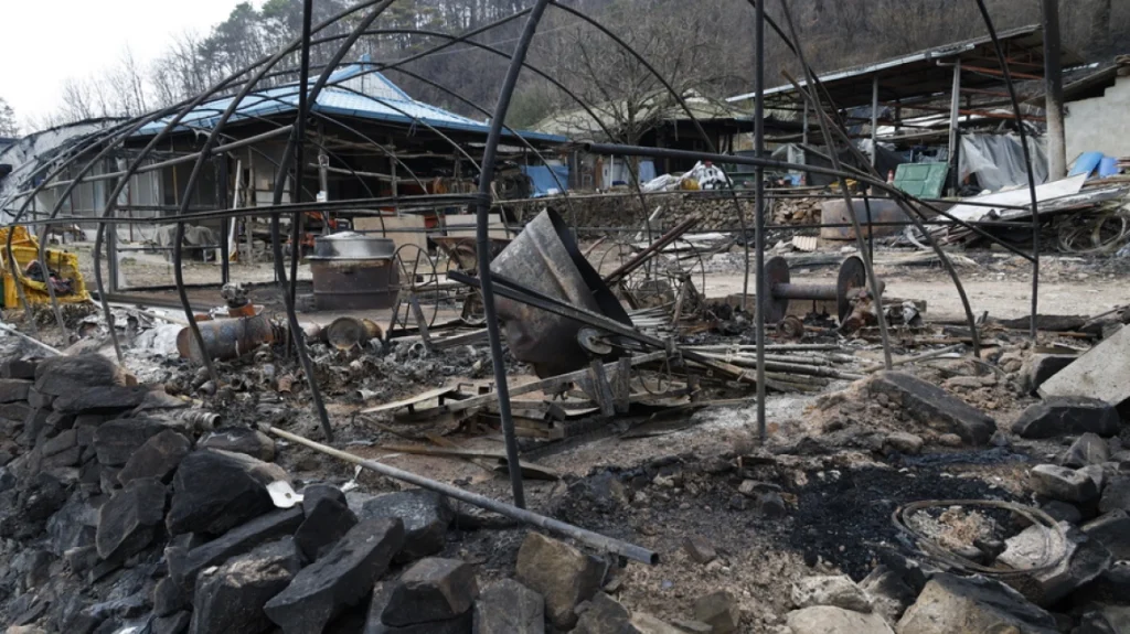 Νότια Κορέα: Αναζωπυρώθηκαν τα μέτωπα της φωτιάς – Τουλάχιστον 29 νεκροί 