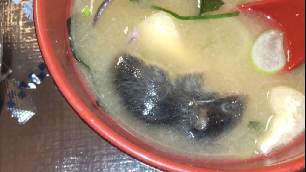 Ιαπωνία: Βρέθηκαν ποντίκι και έντομο σε αλυσίδα φαστ-φουντ – Κλείνουν 2300 καταστήματα