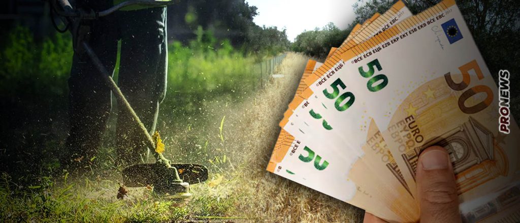 Επιστρέφει ο εφιάλτης των ακαθάριστων οικοπέδων: Απειλούν τους πολίτες με εξωπραγματικά πρόστιμα και φυλακίσεις!