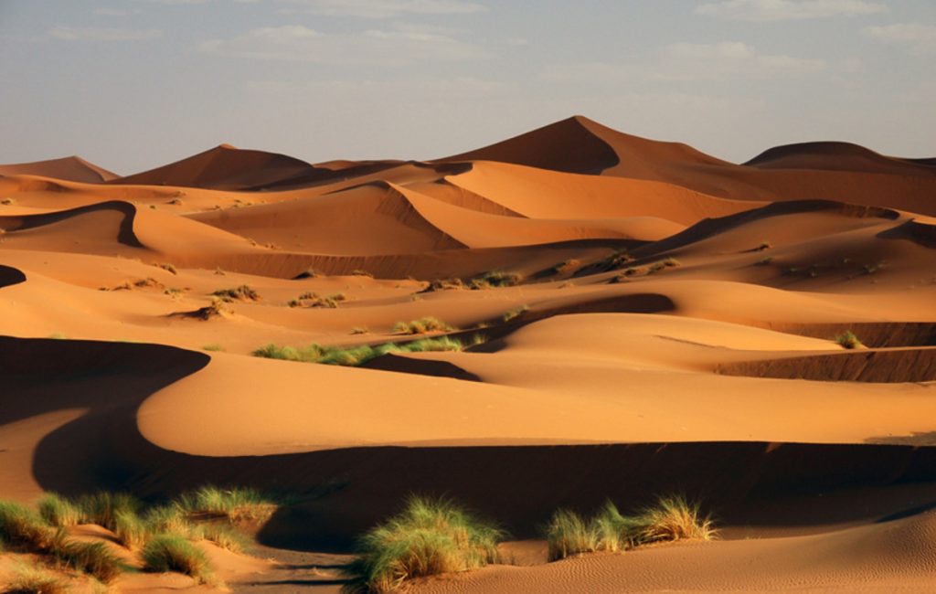 Η χαμένη φυλή της «πράσινης Σαχάρας»: Η μυστηριώδης ιστορία του απομονωμένου πολιτισμού πριν από 14.000 χρόνια