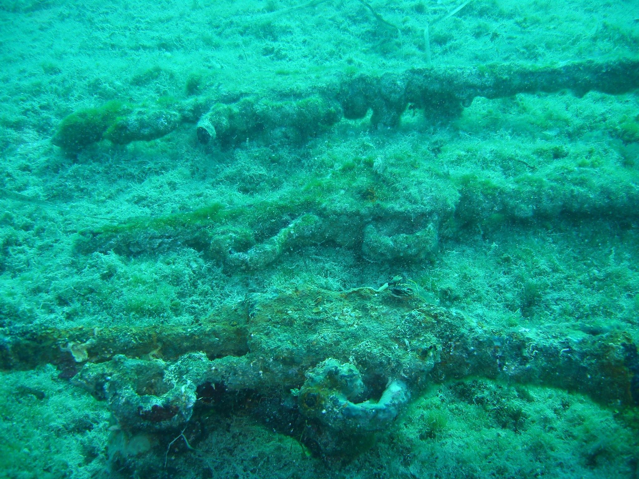 Χειμερινός κολυμβητής «ψάρεψε» όπλα στον Πατραϊκό Κόλπο