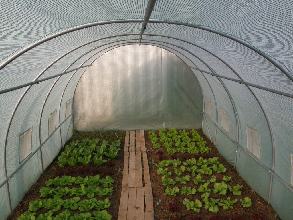 Βόλος: Πατέρας τριών παιδιών αυτοκτόνησε μέσα σε θερμοκήπιο που πήρε φωτιά – Θεώρησε τον εαυτό του υπεύθυνο