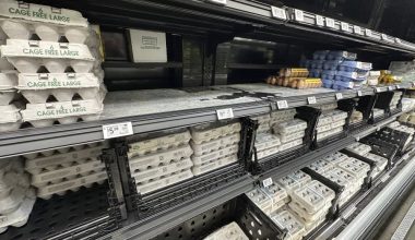 Κρίση των αυγών στις ΗΠΑ με τις τιμές απλά να έχουν φτάσει αυτές της Ελλάδας!