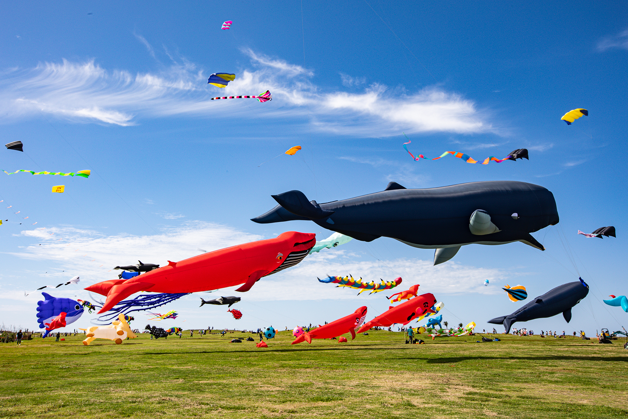 Ταϊβάν: Κοριτσάκι πιάνεται κατά λάθος από την ουρά ενός χαρταετού και απογειώνεται!