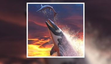 Η τεράστια «θαλάσσια σαύρα» – Tο απολίθωμα του Θαλασσοτιτάνα που ζούσε πριν 66 εκατ. χρόνια