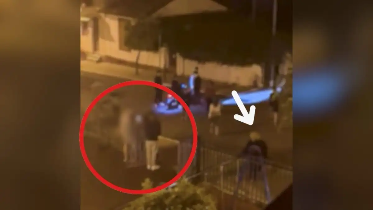 Πόρος: «Μου έκανε μήνυση γιατί έδειξα το πρόσωπο του παιδιού του» λέει ο γιος της 85χρονης που της έριξαν βαρελότα 