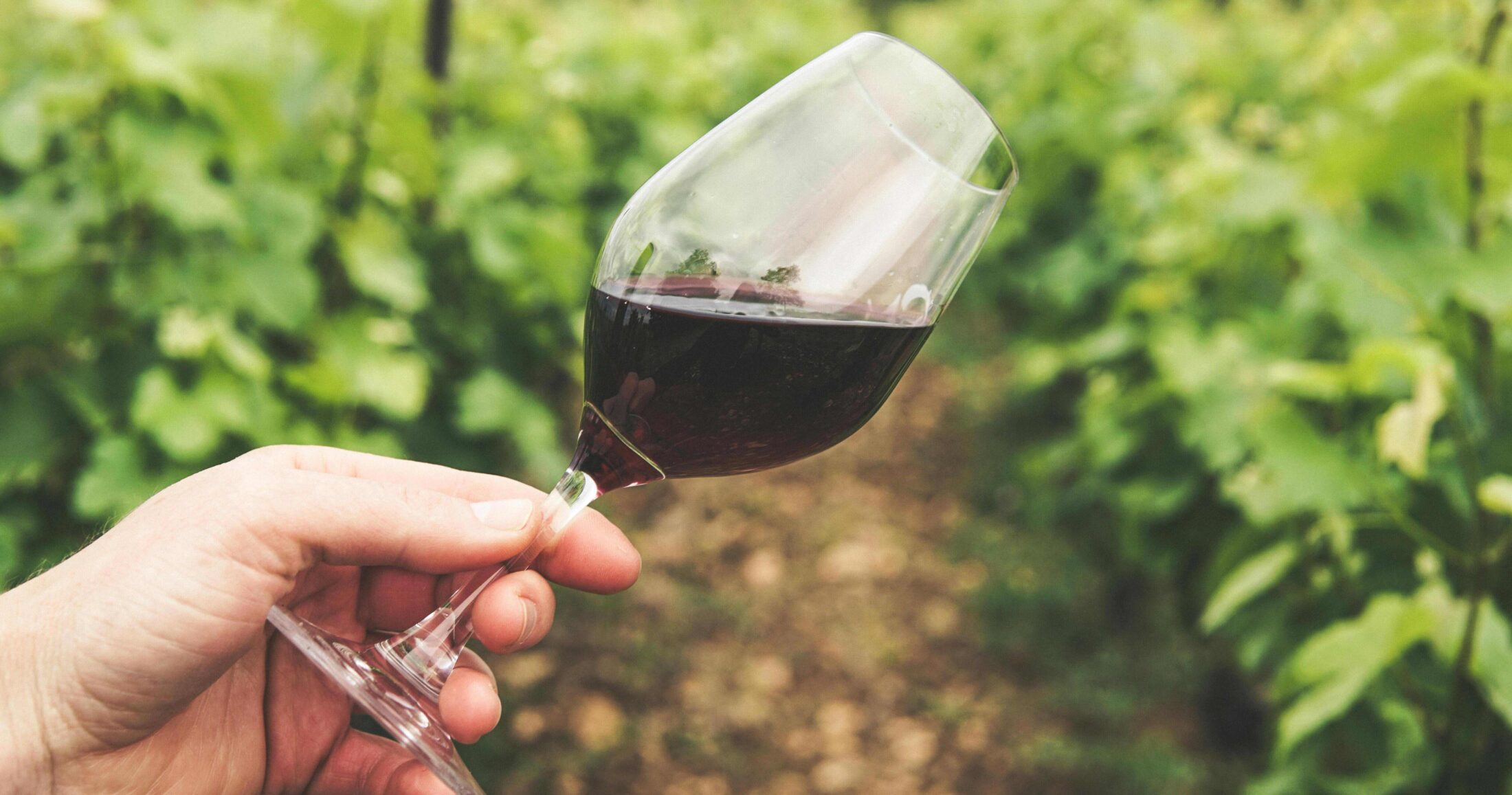 Δείτε τι μπορείτε να κάνετε με το κρασί που έχει περισσέψει