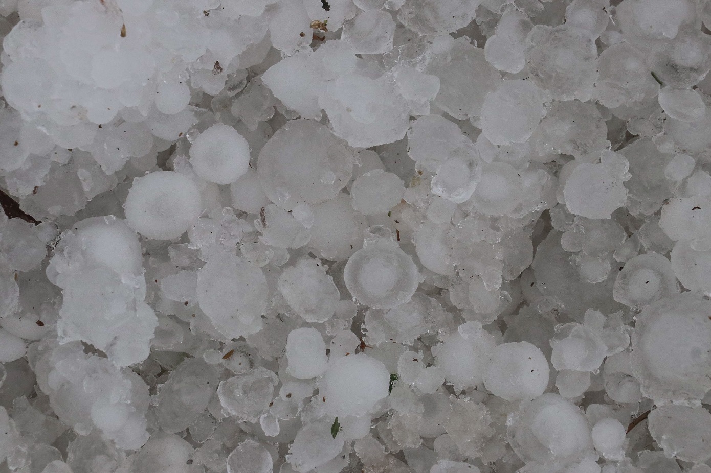 Ισχυρή χαλαζόπτωση έπληξε το Ηράκλειο: Ζημιές σε καλλιέργειες και αμπέλια