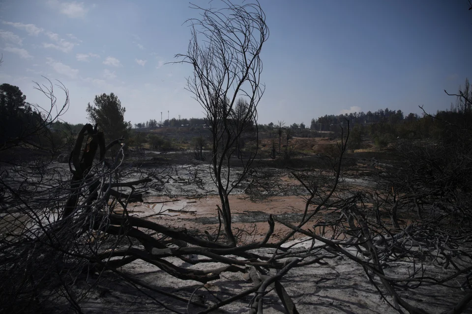 Ισραήλ: Επιστρέφουν στα σπίτια τους οι κάτοικοι – Συνεχίζεται η μάχη με τις φλόγες