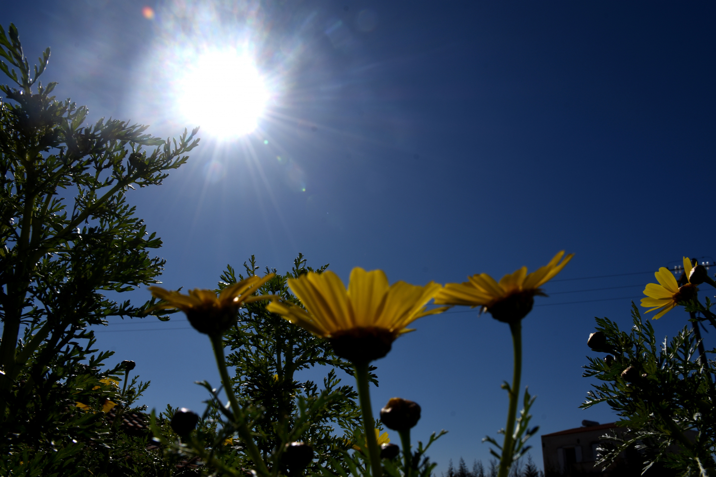 Ο καιρός σήμερα: Αίθριος με μικρή άνοδο της θερμοκρασίας – Η πρόγνωση της ΕΜΥ