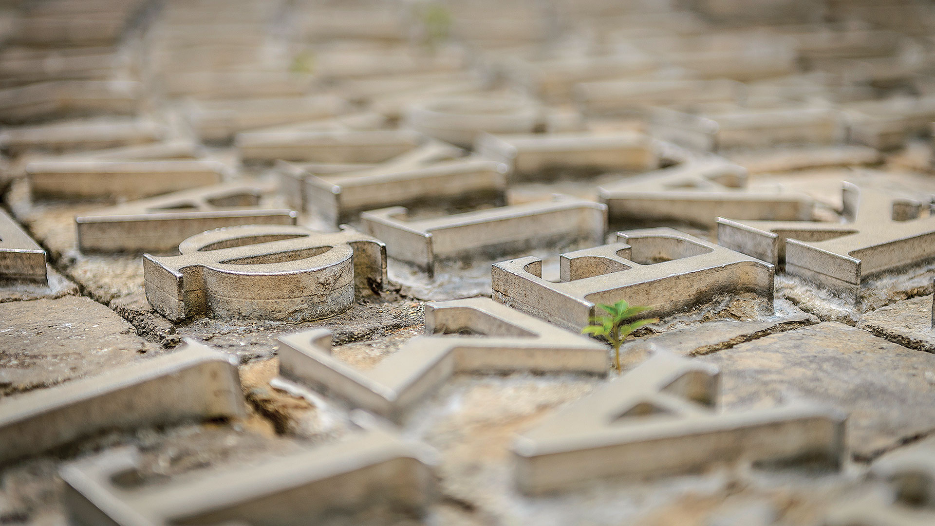 Έχετε αναρωτηθεί ποτέ; – Δείτε ποια είναι η ελληνική λέξη με τα περισσότερα γράμματα