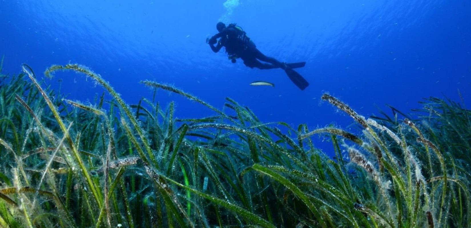 Αυτό είναι το νησί που κάποτε ήταν… βυθός μιας πανάρχαιας θάλασσας