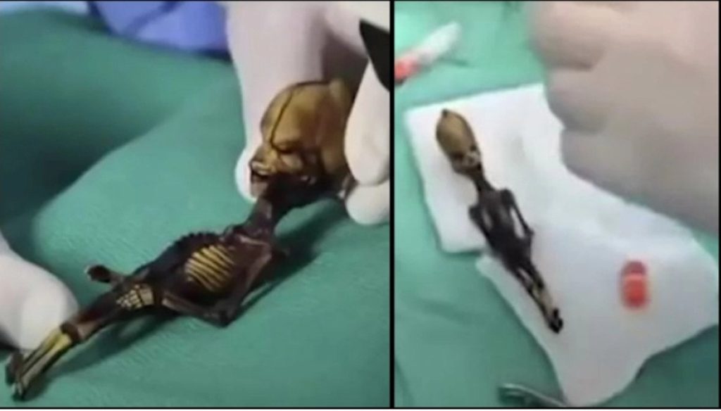 Λύθηκε μετά από χρόνια το μυστήριο με εξωγήινο 15 εκατοστών (βίντεο)