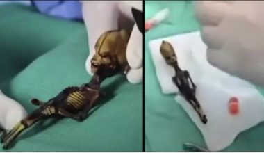 Λύθηκε μετά από χρόνια το μυστήριο με εξωγήινο 15 εκατοστών (βίντεο)