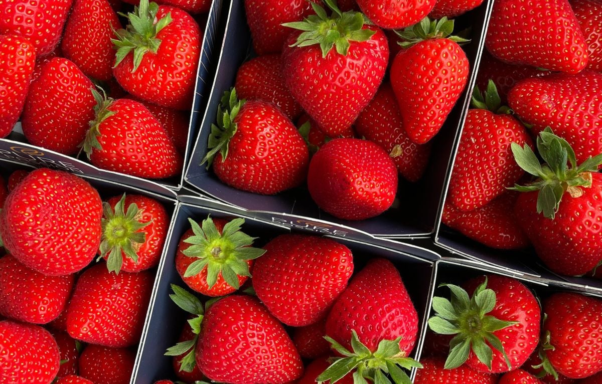 Αυτά είναι τα οφέλη που έχουν για την υγεία οι φράουλες