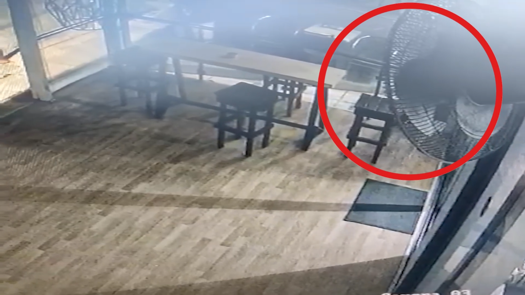 Συνελήφθη Αλβανός ληστής που άρπαξε από τραπεζικές κάρτες μέχρι κουβλί με παπαγάλο -Βίντεο ντοκουμέντο από τη δράση