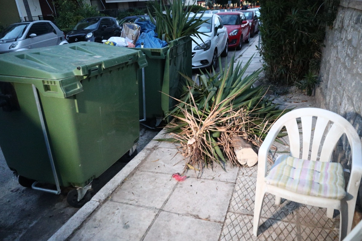 Άλιμος: Ποινή φυλάκισης 2 ετών στη γιαγιά του βρέφους που βρέθηκε σε κάδο σκουπιδιών – Θα εκτίσει 3 μήνες