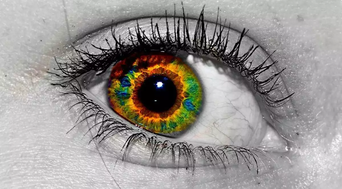 Δείτε πώς επηρεάζει η αχρωματοψία άνδρες και γυναίκες – Είναι πάντα κληρονομική;