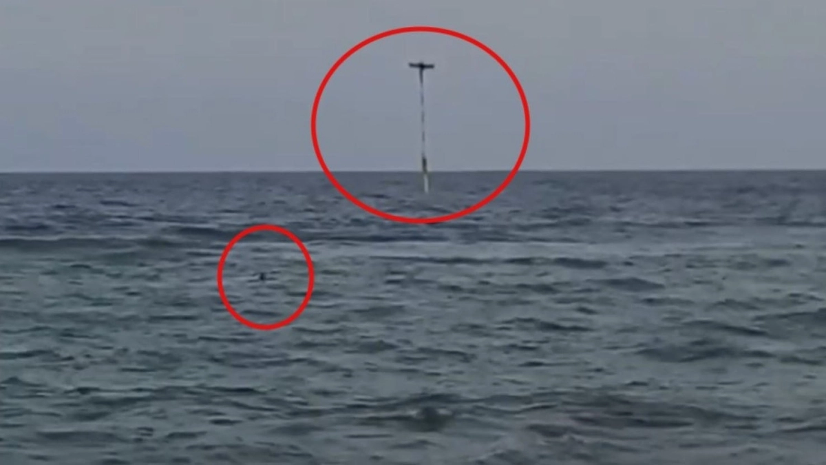 Φλόριντα: Ψαράς κατάφερε και έσωσε με drone ένα κορίτσι από βέβαιο πνιγμό – Δείτε την δραματική διάσωση (βίντεο)