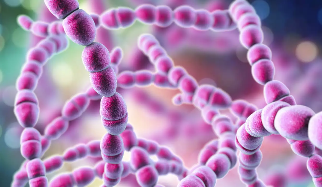 Στρεπτόκοκκος: Δείτε αναλυτικά ποια είναι τα συμπτώματα