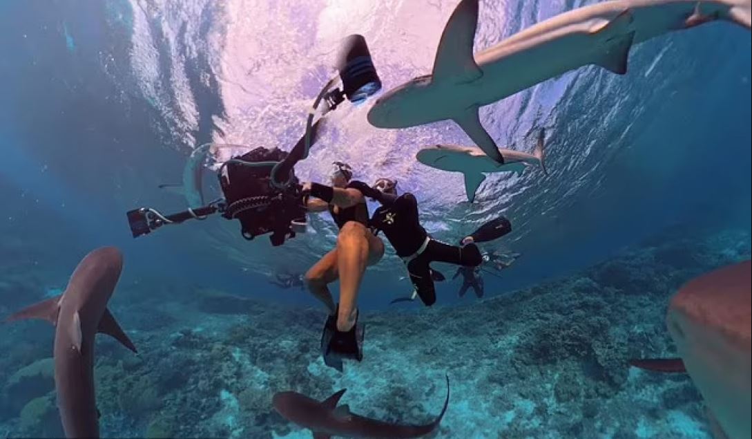 Η σοκαριστική στιγμή που δέκα καρχαρίες επιτίθενται σε δύτες στην Αυστραλία – Δείτε το βίντεο