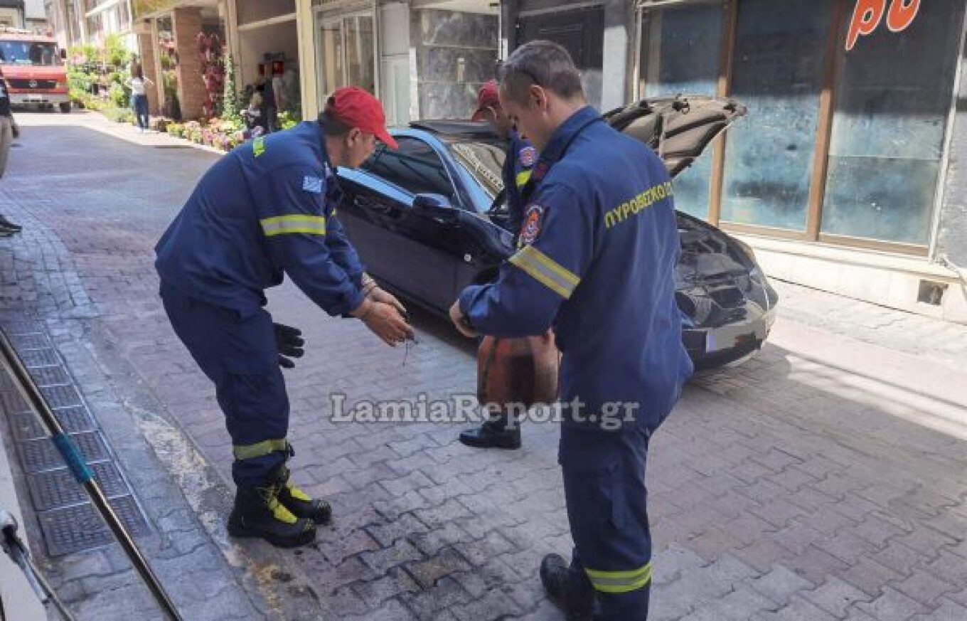 Λαμία: Χρειάστηκε η επέμβαση τριών πυροσβεστών για να «τσακώσουν» κρυμμένο φίδι σε αυτοκίνητο (βίντεο – φωτο)