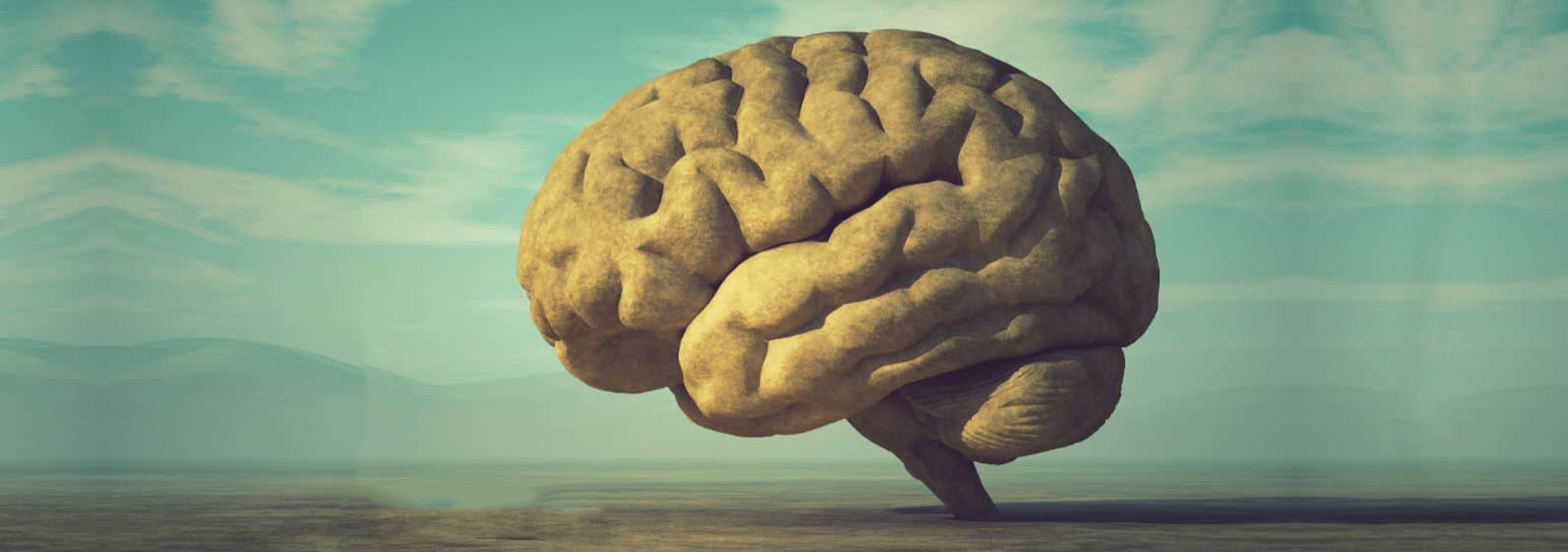 Νέα μελέτη: Σε ποια ηλικία φθάνουμε στο υψηλότερο επίπεδο νοημοσύνης μας